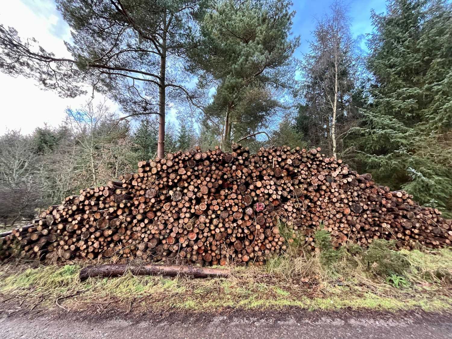 Lot 6 - Parcel 3, 584m3 "gross" stack measure of roadside 3m  biofuel at Trinity Gask Estate.