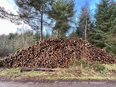 Lot 6 - Parcel 3, 584m3 "gross" stack measure of roadside 3m  biofuel at Trinity Gask Estate.