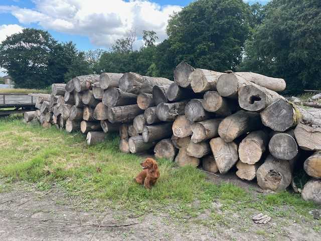 Lot 2 - 100t of roadside firewood at Brocklesby estate firewood yard