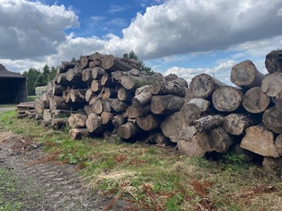 Lot 2 - 100t of roadside firewood at Brocklesby estate firewood yard
